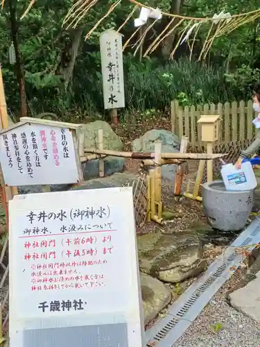 千歳神社の手水