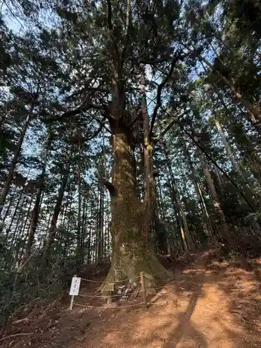 智満寺(静岡県)