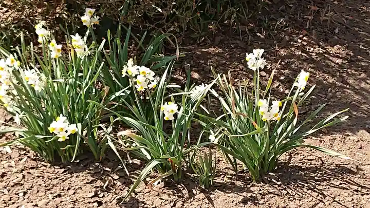 弘経寺(茨城県)