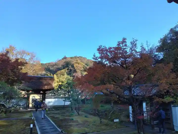 長壽寺(長寿寺)(神奈川県)