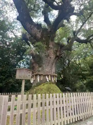 熱田神宮(愛知県)