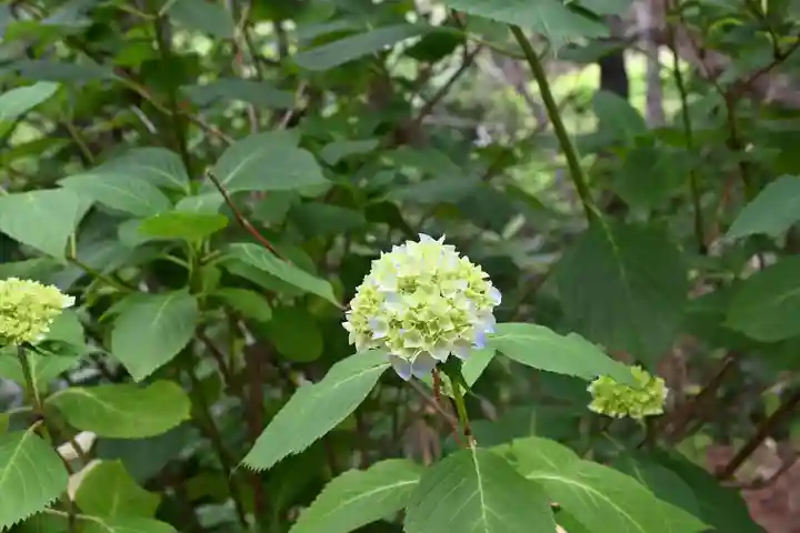 高山稲荷神社(青森県)