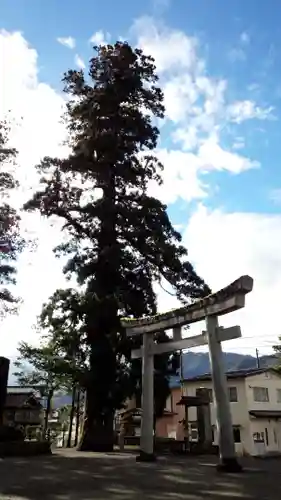 飛騨一宮水無神社の鳥居