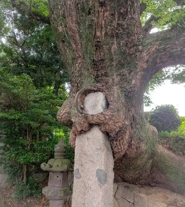 八剣神社(福岡県)