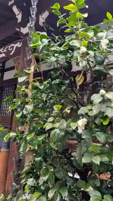 成道院(京都府)