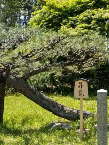 海龍王寺の{uncategorized: "未分類", other: "その他", undefined: "問題あり", building: "その他建物", grave: "お墓", sacred_gate: "鳥居", guardian: "狛犬", statue: "像", buddha: "仏像", history: "歴史", nature: "自然", garden: "庭園", animal: "動物", pagoda: "塔", temizu: "手水舎", mountain_gate: "山門・神門", sanctuary: "本殿・本堂", subordinate: "末社・摂社", art: "芸術", scenery: "景色", jizo: "地蔵", ema: "絵馬", goshuin: "御朱印", omikuji: "おみくじ", items: "授与品その他", amulet: "お守り", goshuincho: "御朱印帳", eats: "食事", festival: "お祭り", votive_dance: "神楽", shichigosan: "七五三参", wedding: "結婚式", experience: "体験その他", initially: "初詣", around: "周辺", anti_infection: "感染症対策"}