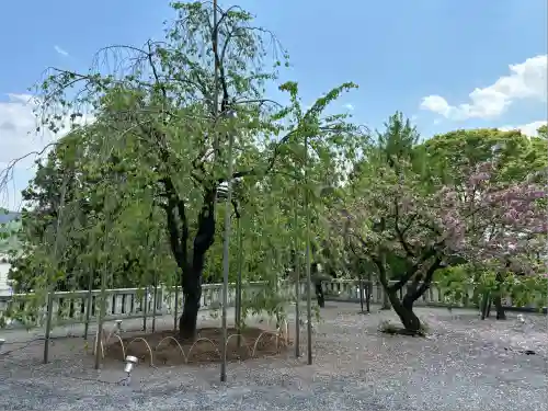 浅間神社(栃木県)