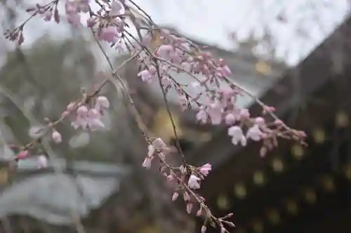 鈴鹿明神社の自然
