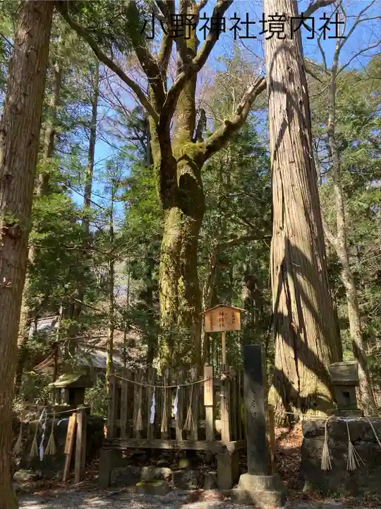 小野神社(長野県)