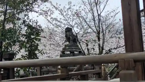 天孫神社(滋賀県)