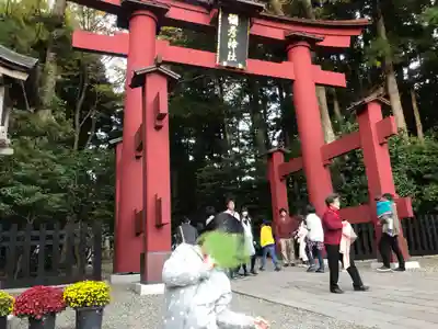 彌彦神社の鳥居