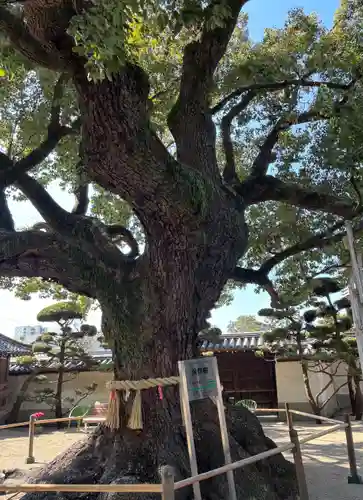 大聖観音寺（あびこ観音）(大阪府)