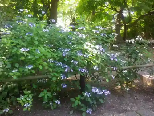 妙本寺の庭園