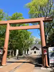 旭川神社の鳥居