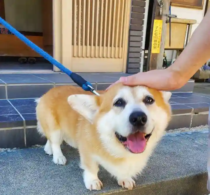 姫宮神社(宮城県)