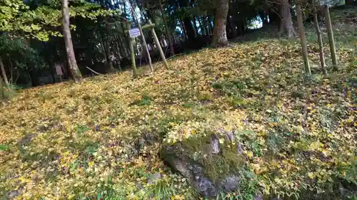 出雲大神宮の自然