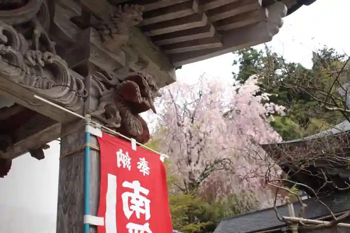 龍頭寺の自然