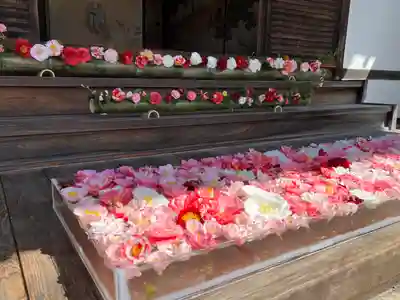 霊鑑寺門跡(京都府)