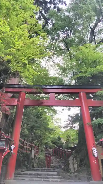 貴船神社の鳥居