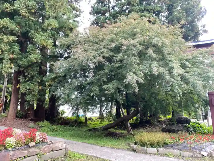 高照神社の自然