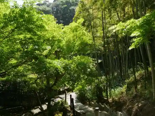 長壽寺（長寿寺）の景色