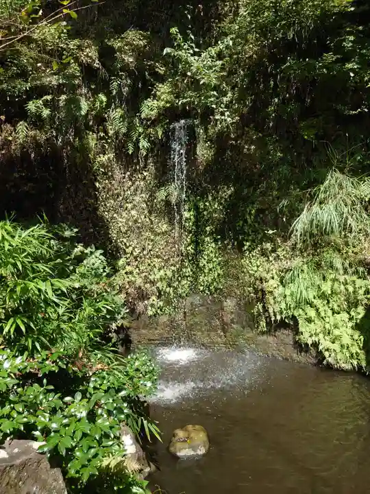 銭洗弁財天宇賀福神社(神奈川県)