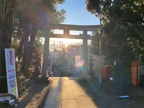 雪ケ谷八幡神社の鳥居