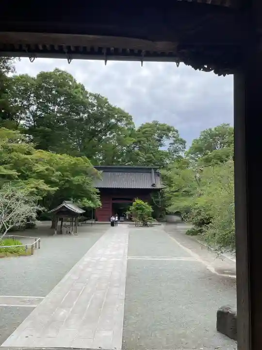妙本寺の{uncategorized: "未分類", other: "その他", undefined: "問題あり", building: "その他建物", grave: "お墓", sacred_gate: "鳥居", guardian: "狛犬", statue: "像", buddha: "仏像", history: "歴史", nature: "自然", garden: "庭園", animal: "動物", pagoda: "塔", temizu: "手水舎", mountain_gate: "山門・神門", sanctuary: "本殿・本堂", subordinate: "末社・摂社", art: "芸術", scenery: "景色", jizo: "地蔵", ema: "絵馬", goshuin: "御朱印", omikuji: "おみくじ", items: "授与品その他", amulet: "お守り", goshuincho: "御朱印帳", eats: "食事", festival: "お祭り", votive_dance: "神楽", shichigosan: "七五三参", wedding: "結婚式", experience: "体験その他", initially: "初詣", around: "周辺", anti_infection: "感染症対策"}