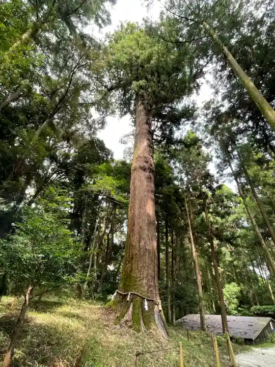 土佐神社(高知県)