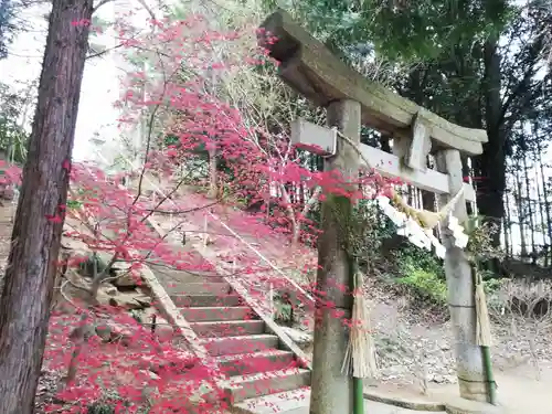 滑川神社 - 仕事と子どもの守り神の鳥居