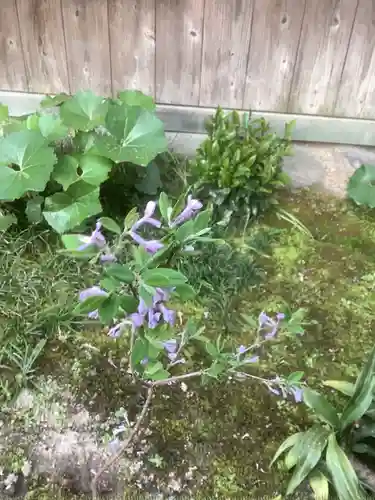 極楽寺の庭園