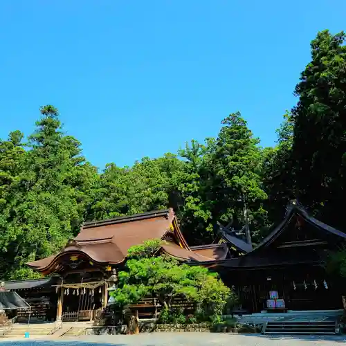 小國神社(静岡県)