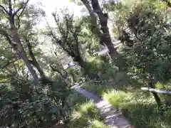 生國魂神社の建物その他