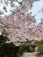 花岳寺の{uncategorized: "未分類", other: "その他", undefined: "問題あり", building: "その他建物", grave: "お墓", sacred_gate: "鳥居", guardian: "狛犬", statue: "像", buddha: "仏像", history: "歴史", nature: "自然", garden: "庭園", animal: "動物", pagoda: "塔", temizu: "手水舎", mountain_gate: "山門・神門", sanctuary: "本殿・本堂", subordinate: "末社・摂社", art: "芸術", scenery: "景色", jizo: "地蔵", ema: "絵馬", goshuin: "御朱印", omikuji: "おみくじ", items: "授与品その他", amulet: "お守り", goshuincho: "御朱印帳", eats: "食事", festival: "お祭り", votive_dance: "神楽", shichigosan: "七五三参", wedding: "結婚式", experience: "体験その他", initially: "初詣", around: "周辺", anti_infection: "感染症対策"}