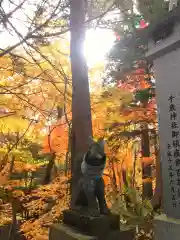 千歳神社の狛犬