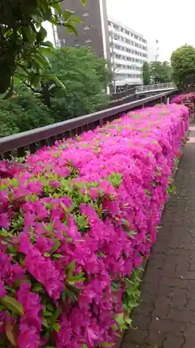 蒲田八幡神社(東京都)
