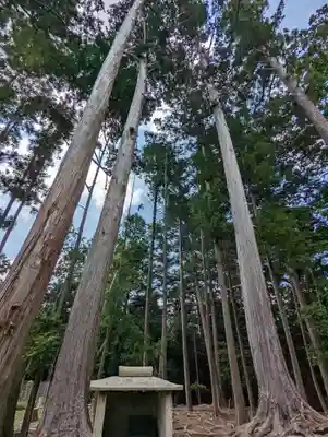 鞍馬寺(京都府)