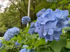 持寳院(多気不動尊)の自然