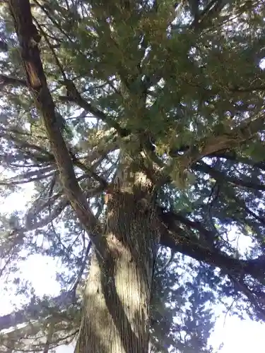 無量寺(和歌山県)