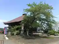 龍石寺(埼玉県)