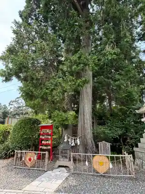 矢奈比賣神社（見付天神）(静岡県)