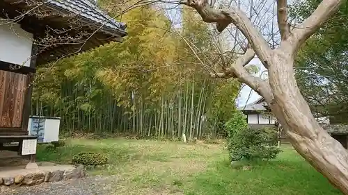 長寿寺の庭園