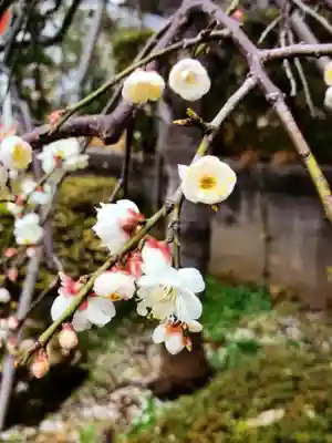 東長谷寺　薬王院(東京都)