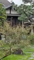 妙教寺(京都府)
