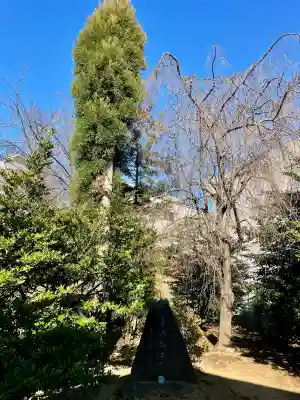 驚神社(神奈川県)