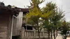 天満神社(徳島県)