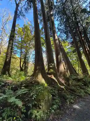戸隠神社奥社(長野県)