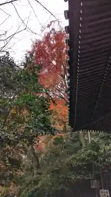 観音寺（山崎聖天）(京都府)