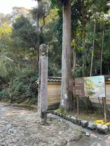 竹林寺の{uncategorized: "未分類", other: "その他", undefined: "問題あり", building: "その他建物", grave: "お墓", sacred_gate: "鳥居", guardian: "狛犬", statue: "像", buddha: "仏像", history: "歴史", nature: "自然", garden: "庭園", animal: "動物", pagoda: "塔", temizu: "手水舎", mountain_gate: "山門・神門", sanctuary: "本殿・本堂", subordinate: "末社・摂社", art: "芸術", scenery: "景色", jizo: "地蔵", ema: "絵馬", goshuin: "御朱印", omikuji: "おみくじ", items: "授与品その他", amulet: "お守り", goshuincho: "御朱印帳", eats: "食事", festival: "お祭り", votive_dance: "神楽", shichigosan: "七五三参", wedding: "結婚式", experience: "体験その他", initially: "初詣", around: "周辺", anti_infection: "感染症対策"}
