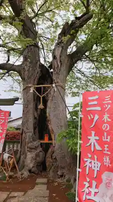 三ツ木神社(埼玉県)